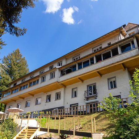 Le Chalet Du Lac Le Chatenet-en-Dognon Zewnętrze zdjęcie